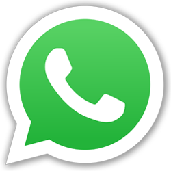 boton whatsapp DataSolutions